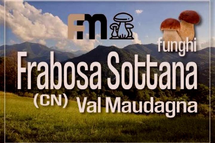 escort Frabosa Sottana