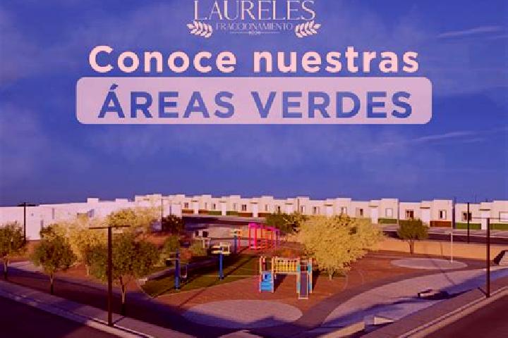 escort Fraccionamiento Laureles Erendira