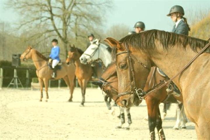 escort Frahier-et-Chatebier