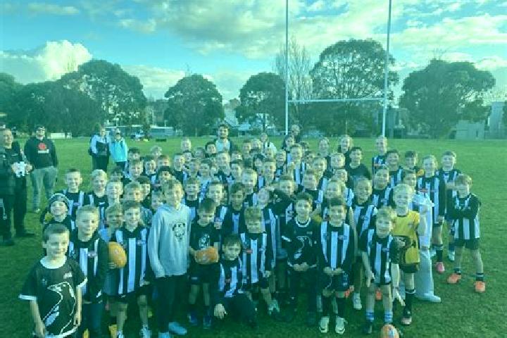 escort Frankston East