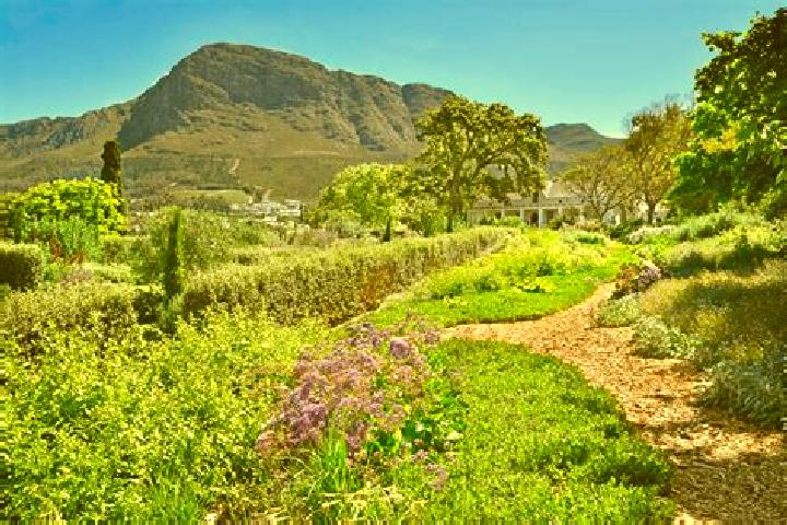 escort Franschhoek