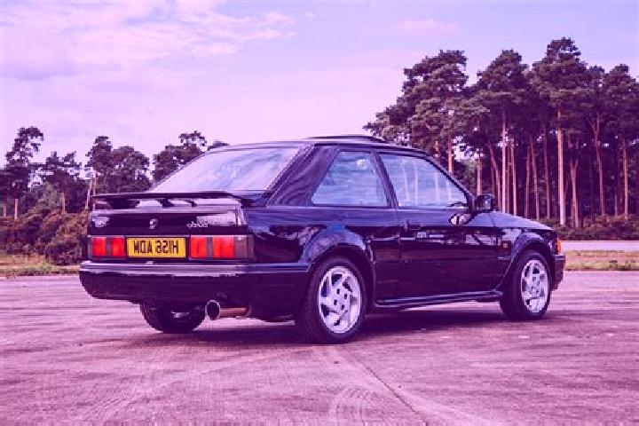 escort Frasnes