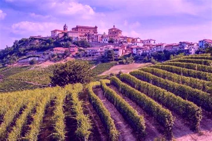 escort Frassinello Monferrato