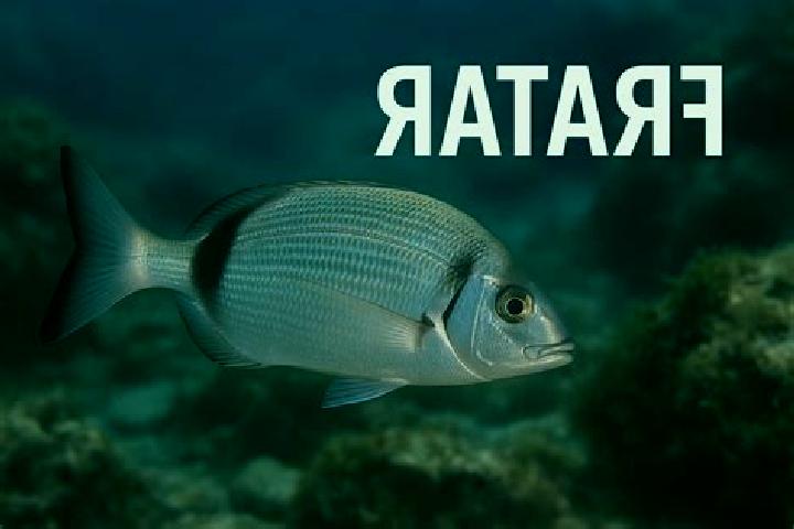 escort Fratar