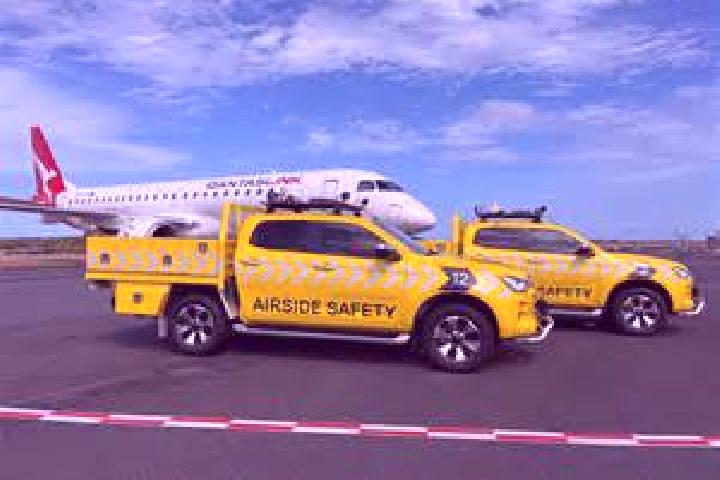 escort Freeport