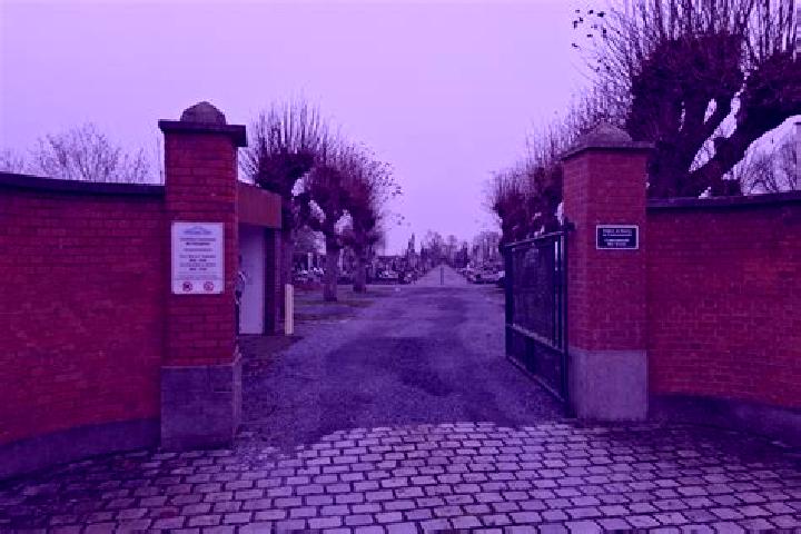 escort Frelinghien