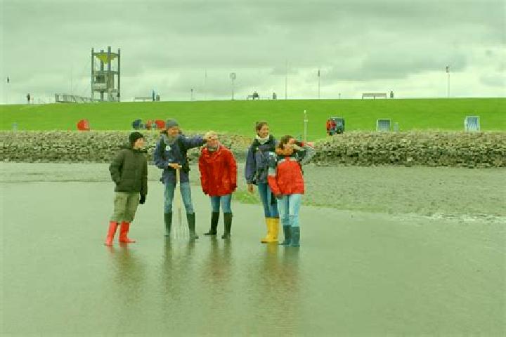 escort Friedrichskoog