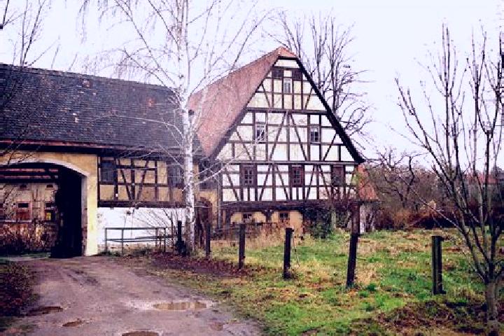 escort Frohnsdorf