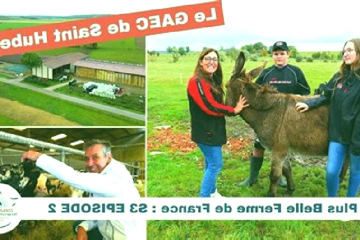 escort Frotey-les-Lure