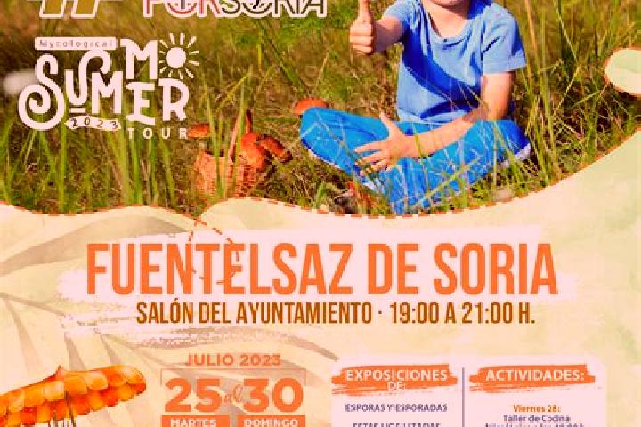 escort Fuentelsaz de Soria