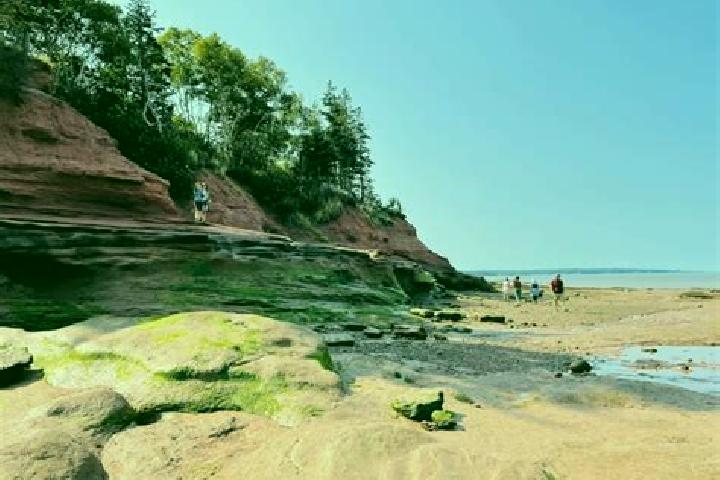 escort Fundy Bay