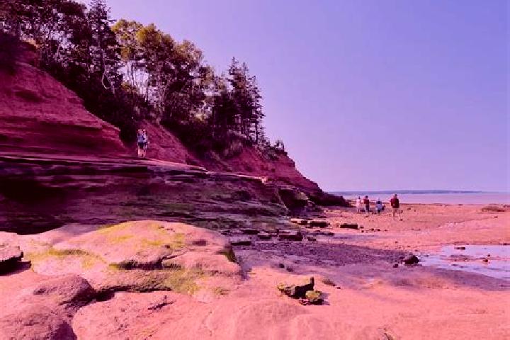 escort Fundy Shores