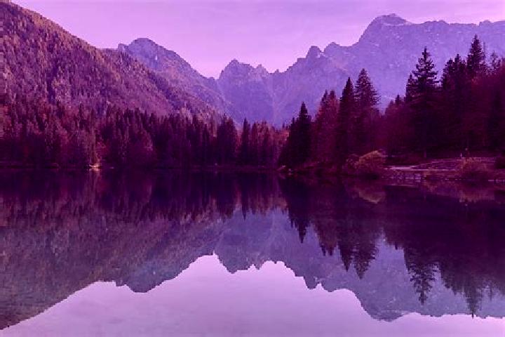 escort Fusine