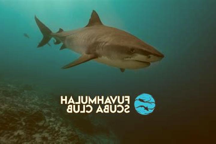 escort Fuvahmulah