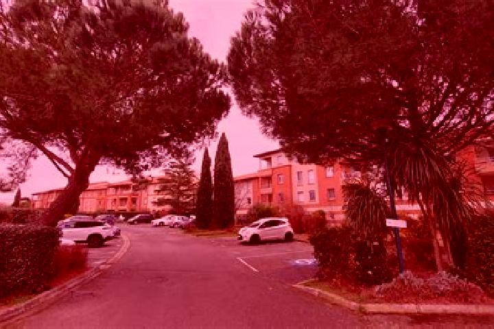 escort Gagnac-sur-Garonne