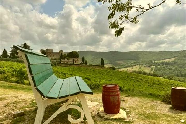 escort Gaiole in Chianti