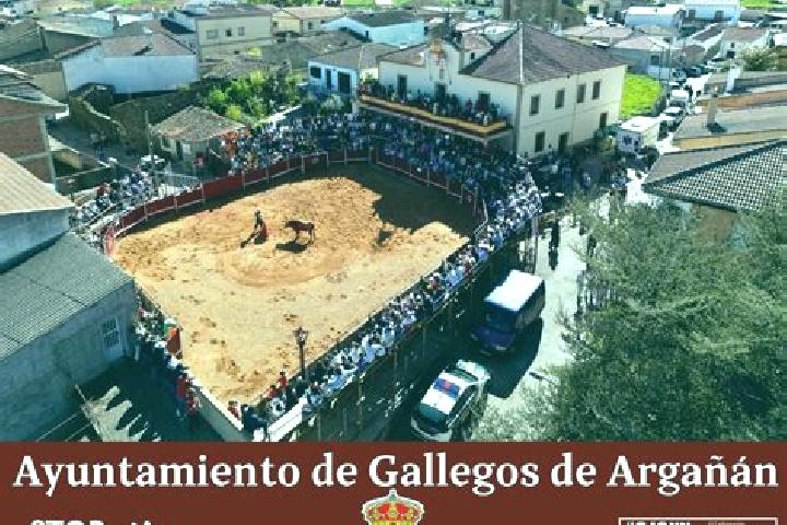 escort Gallegos de Arganan
