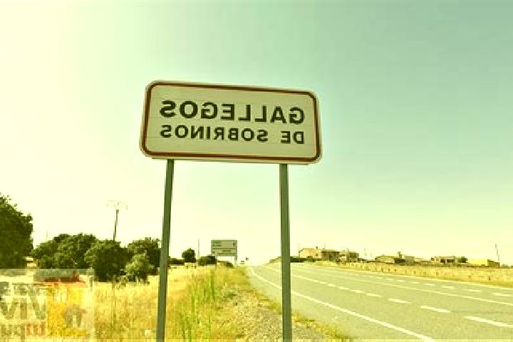 escort Gallegos de Sobrinos