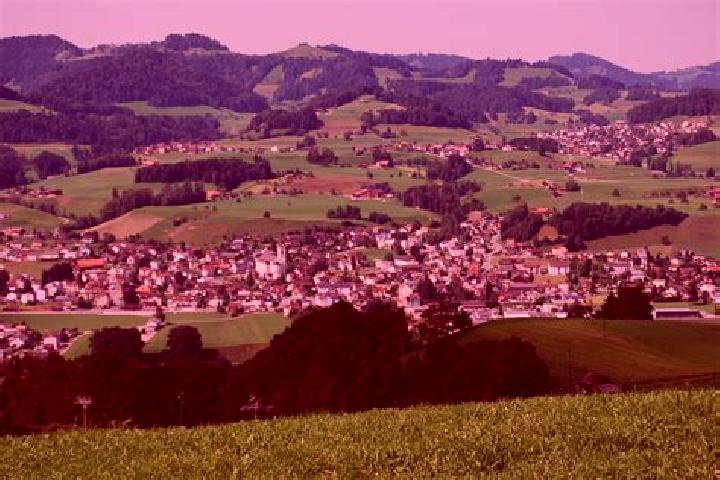 escort Ganterschwil