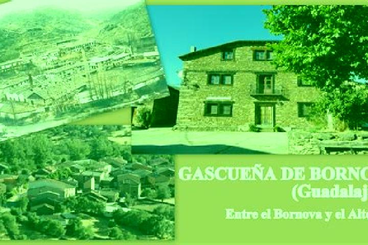 escort Gascuena de Bornova