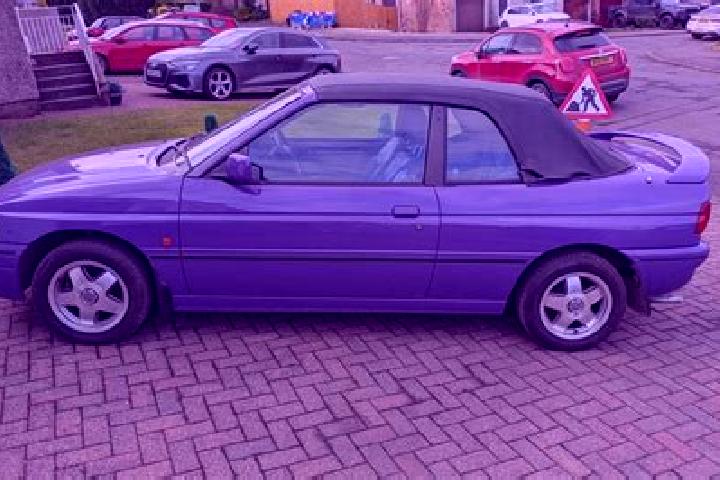 escort Gasinci
