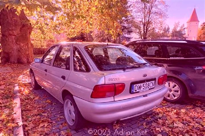 escort Gaubitsch