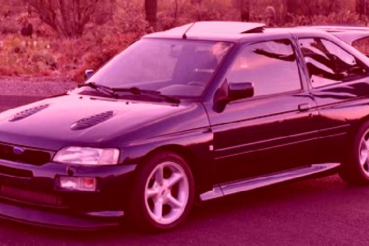 escort Gavanesti