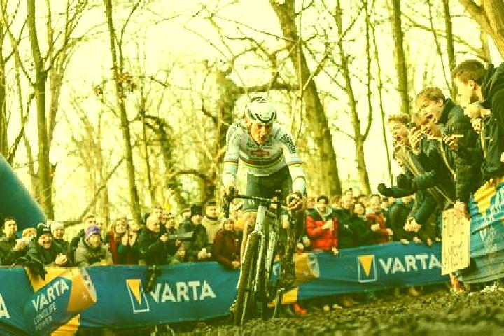 escort Gavere