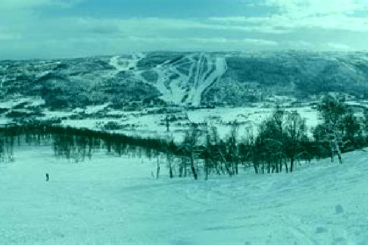 escort Geilo