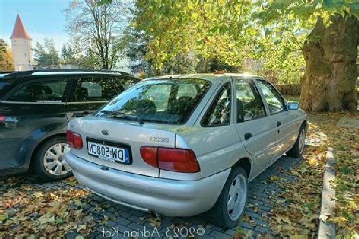 escort Geldersheim