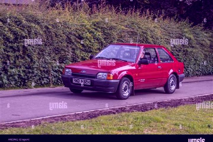 escort Gelendzhik