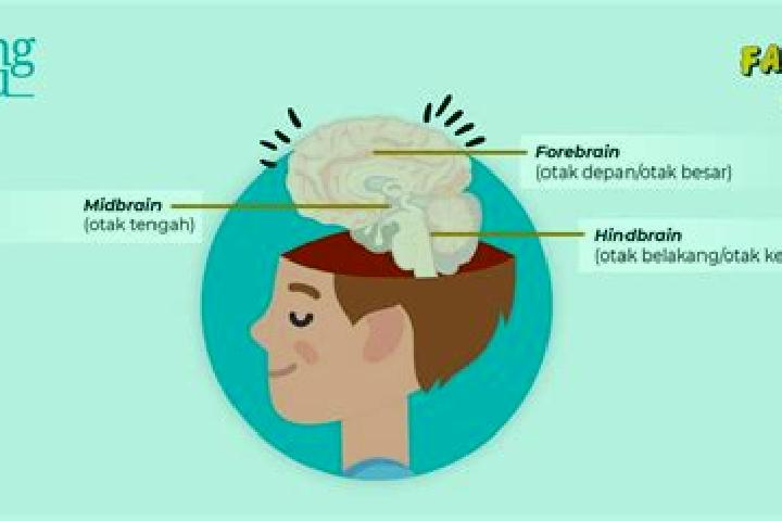 escort Gersikputih Tengah