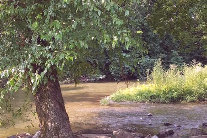 escort Gilbert Creek