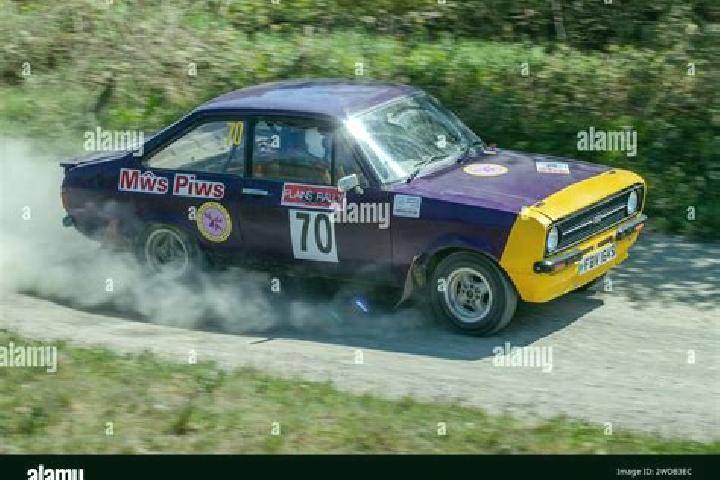 escort Gilles Plains