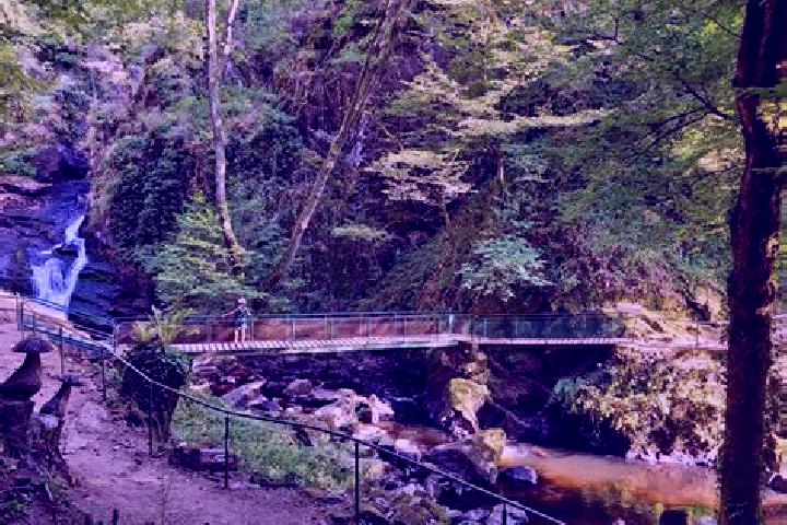 escort Gimel-les-Cascades