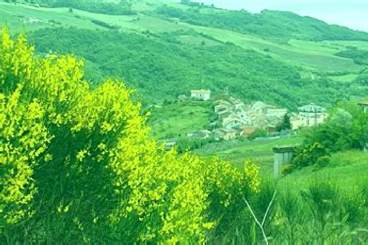 escort Ginestra degli Schiavoni