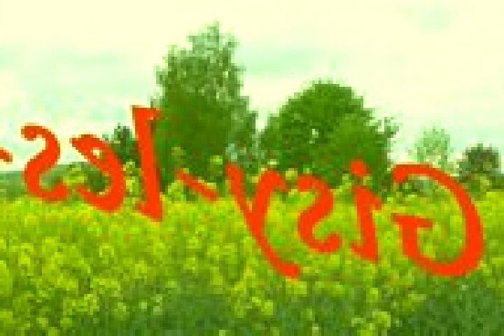 escort Gisy-les-Nobles