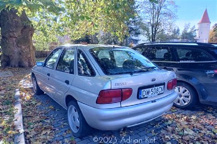 escort Gitesi