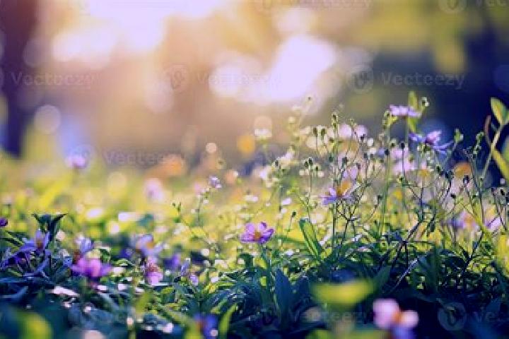 escort Glade Spring