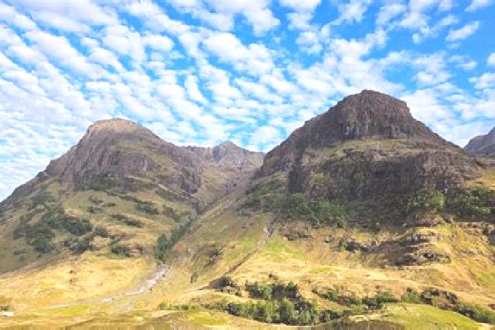 escort Glencoe