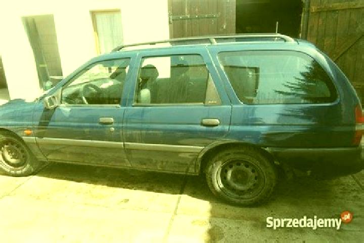 escort Gliwice