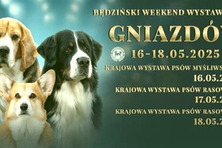 escort Gniazdow