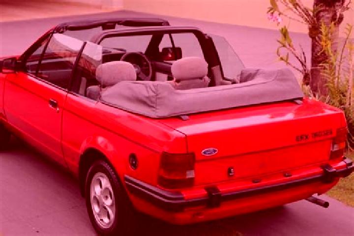 escort Gniewkowo