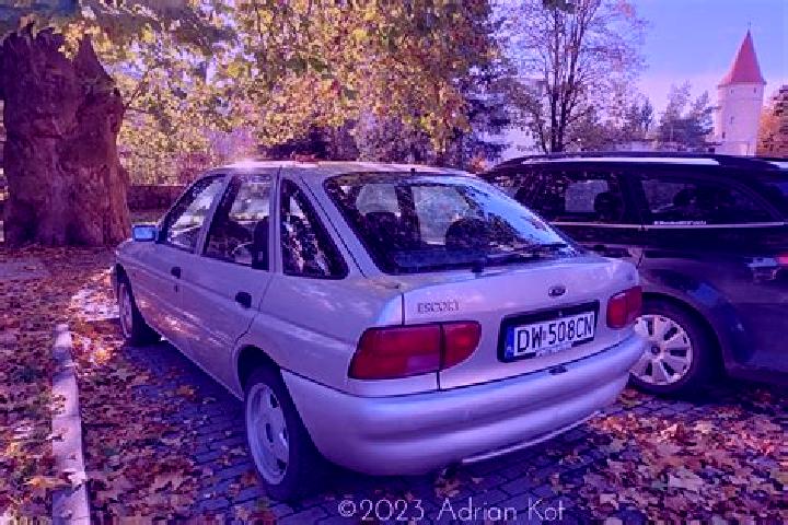 escort Godog