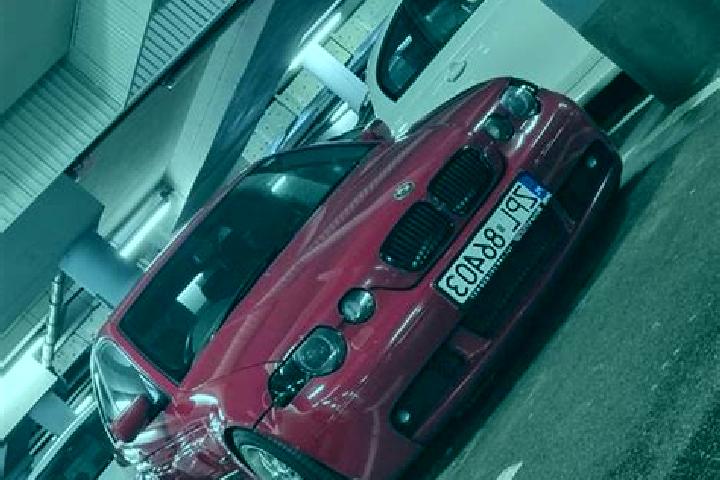 escort Godziszow Drugi