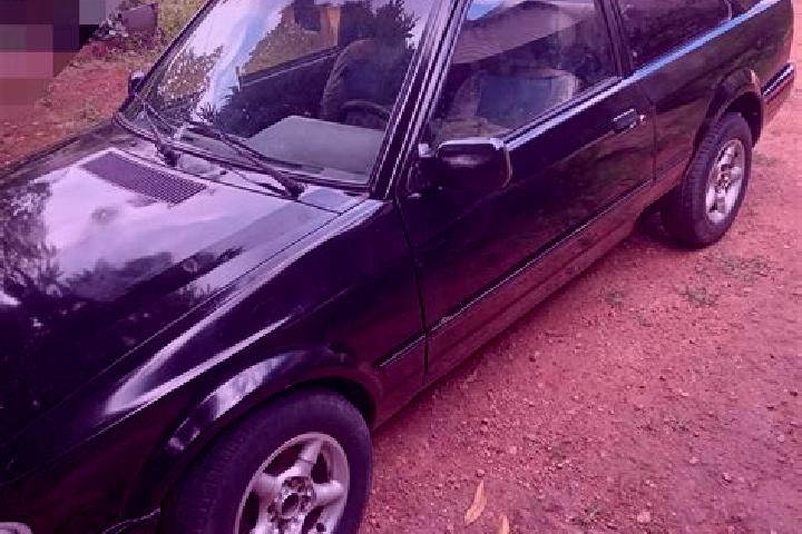 escort Goiatuba