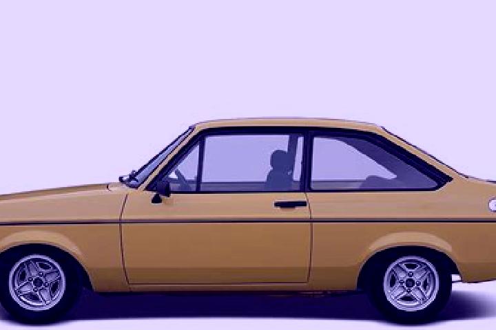 escort Goldfield