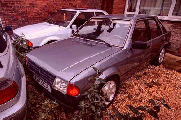 escort Golf