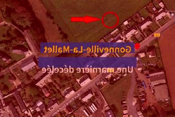 escort Gonneville-la-Mallet