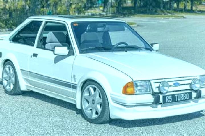 escort Gorzno